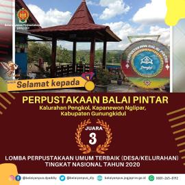 Perpusdes Balai Pintar Sabet Juara III Nasional 